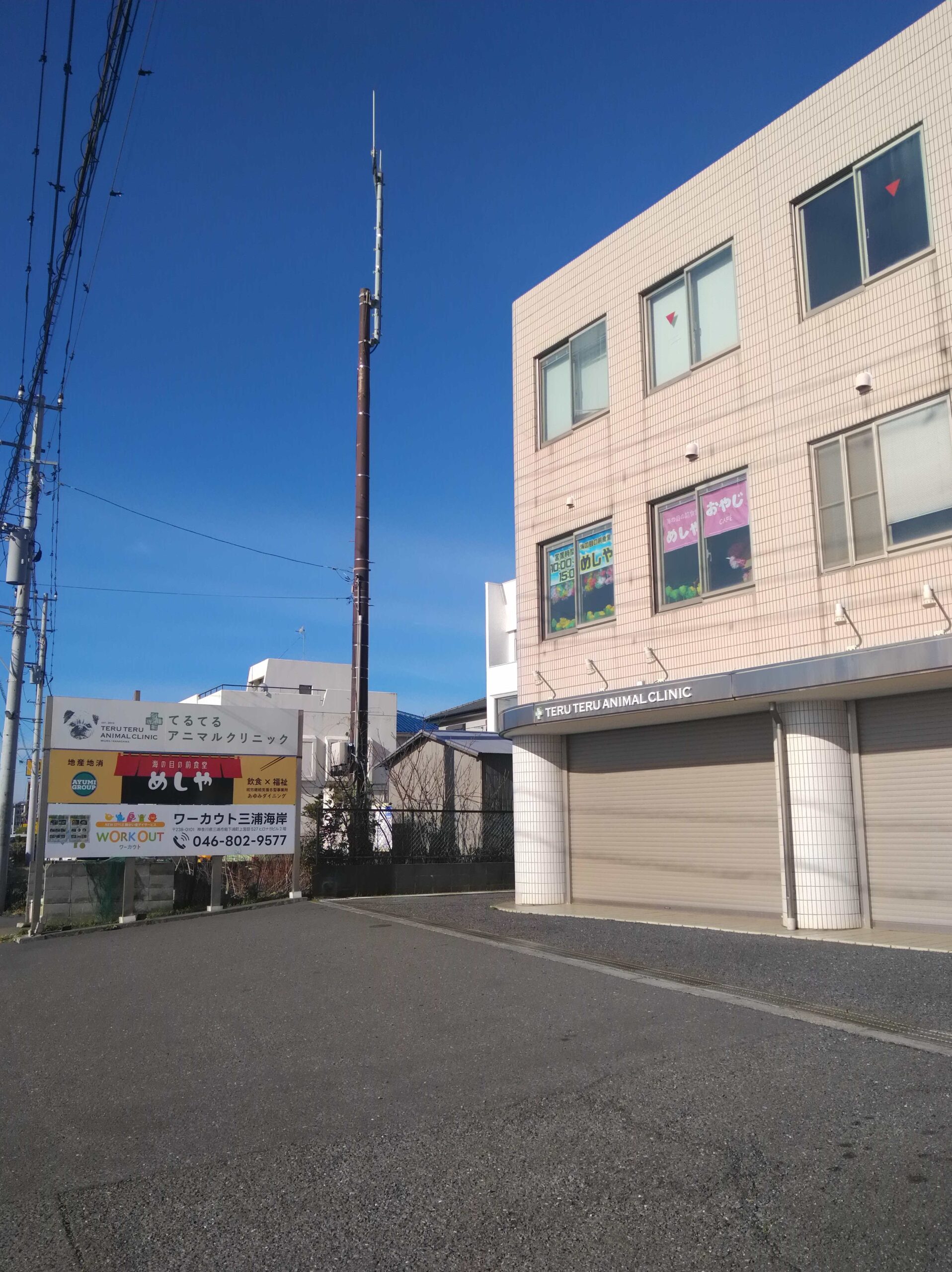 海の目の前食堂めしや店舗外観
